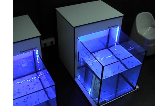 Spa Garra Rufa Mod. Arica Plus Extreme