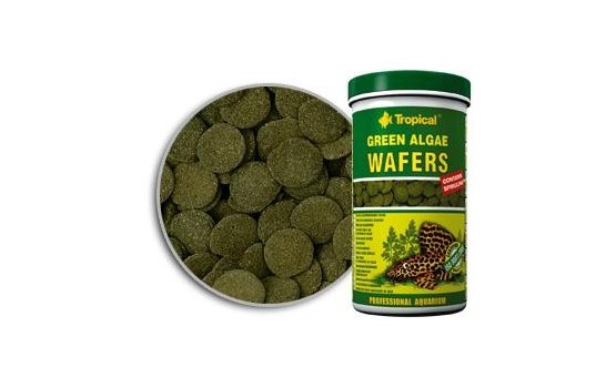 Tropical Green Algae Wafers