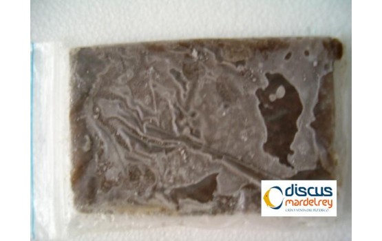 Artemia Congelada 100Gr