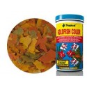 Tropical Goldfish Color 1200ml